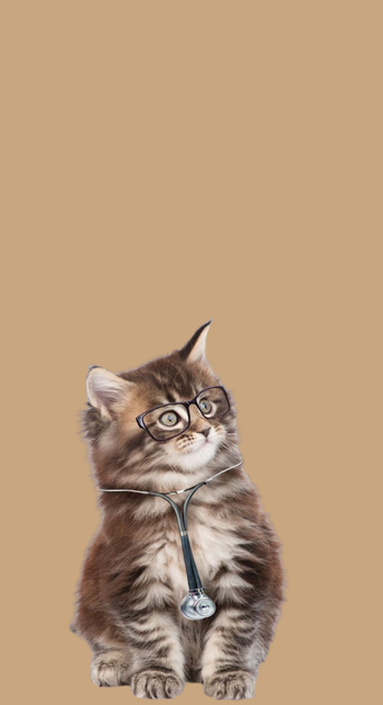 Wellness Consultations