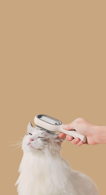 Pet Accessories & Toys